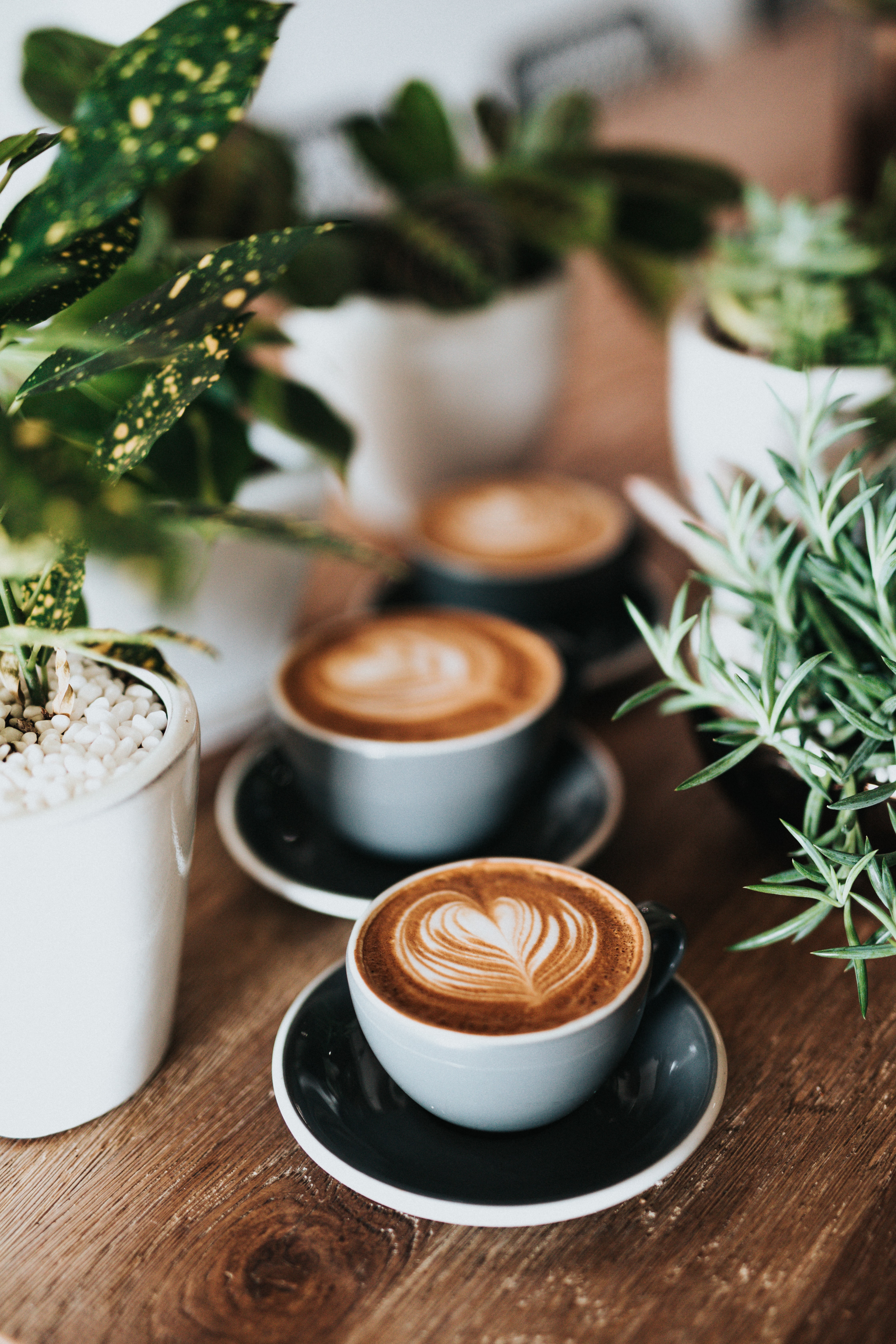 Cups of coffee